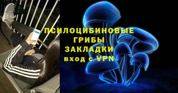 PSILOCYBIN Михайловка