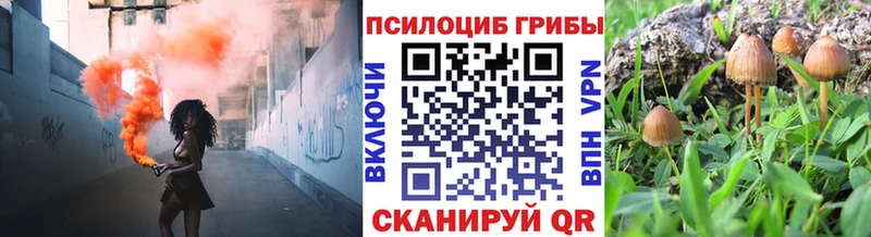 Галлюциногенные грибы Cubensis  Купить где  Михайловка 